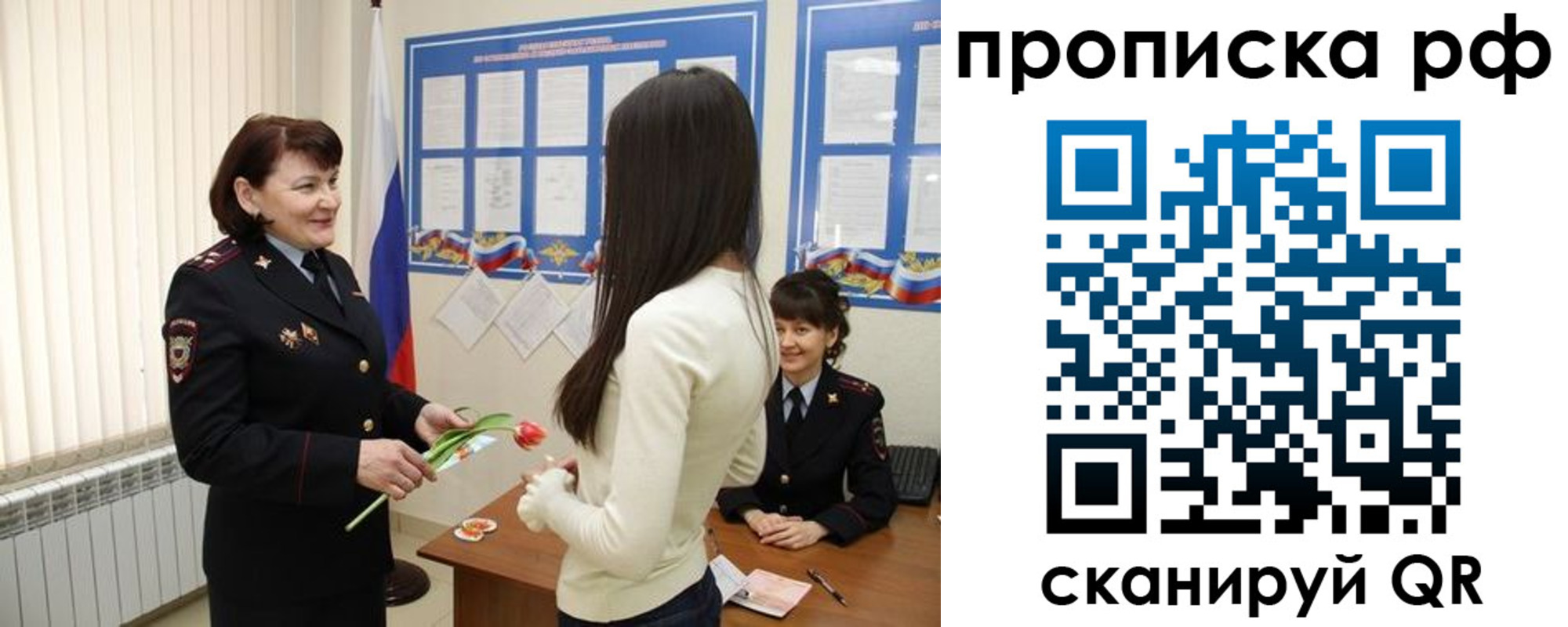 прописка поиск в Волхове